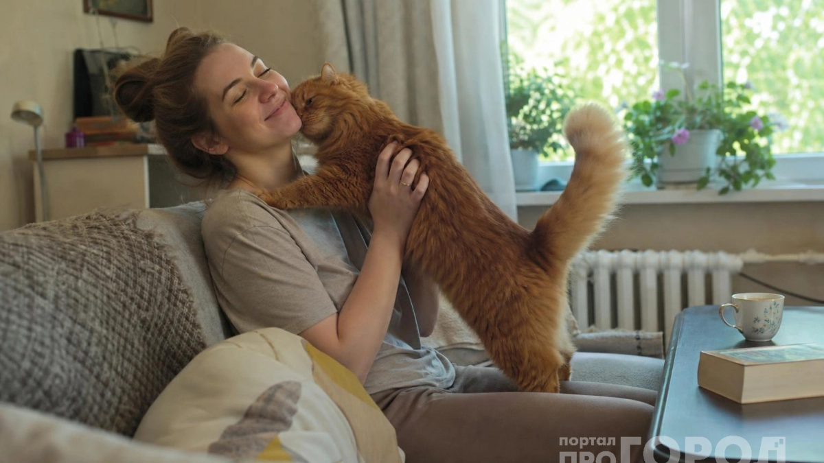 Кошка лезет "целоваться": зоопсихологи рассказали, что на самом деле означает этот жест 