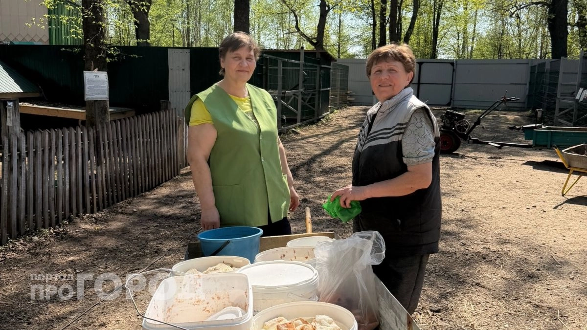 Тут работают по большой любви, дружат с хищниками и виртуозно орудуют вилами: закулисье жизни новочебоксарского зоопарка