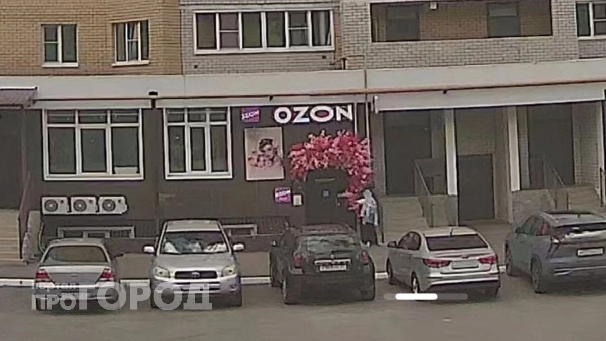 Новочебоксарец разломал цветочную инсталляцию: "Вероятно, решил порадовать любимую"