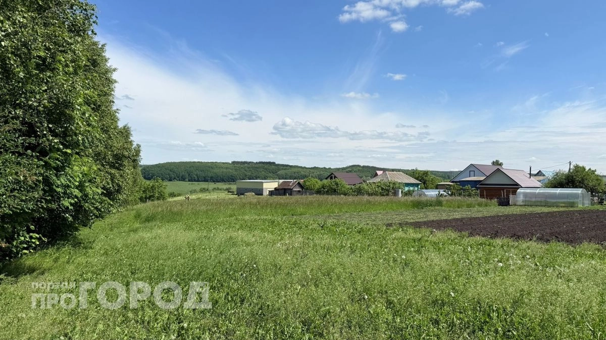 Какая погода ждет жителей Чувашии в воскресенье