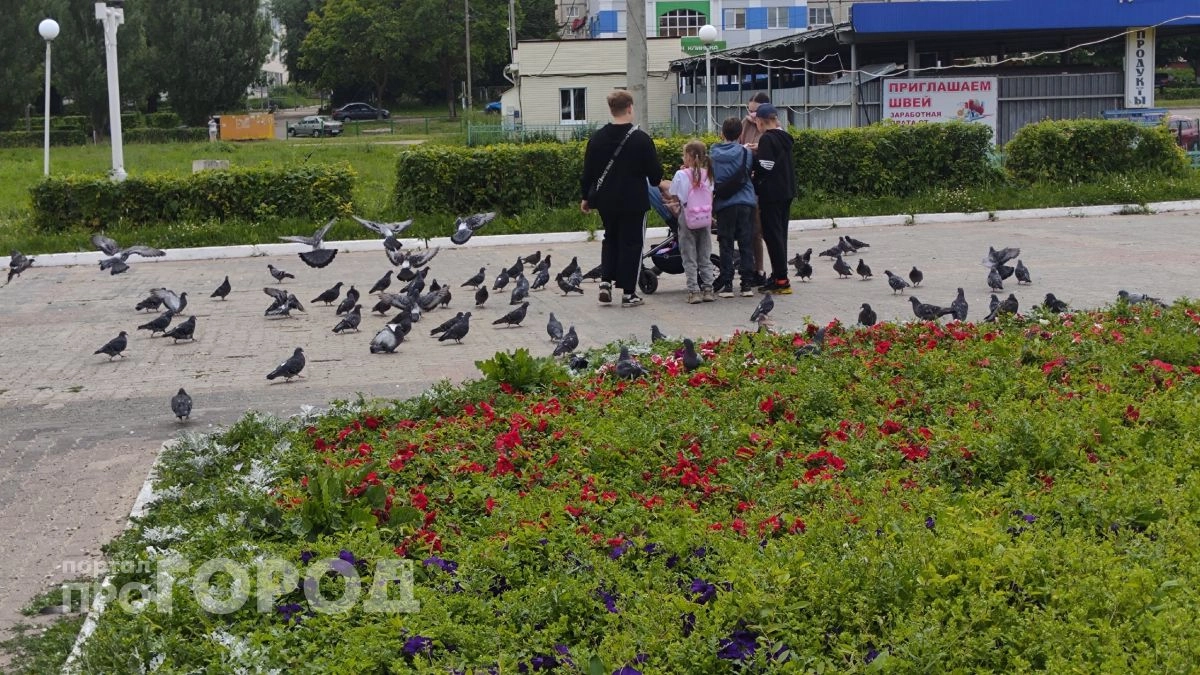 Почти 15 тысяч новочебоксарцев проголосовали за обновление городских территорий 