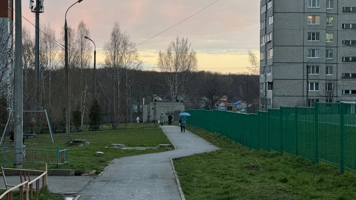 Биолог назвал места обитания ядовитых жуков-томкатов в России: проверьте свой регион