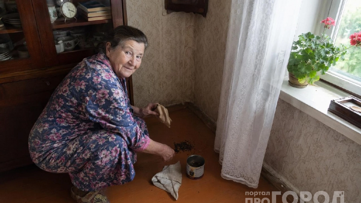 Бабушка рассыпала по углам гвоздику, а я смеялась: простой способ избавиться от мошек и муравьев - сгинут моментом