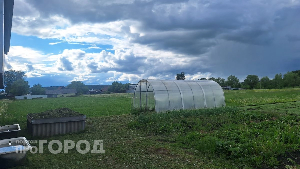 В Новочебоксарске 17 июня ожидаются кратковременные дожди и локальные грозы