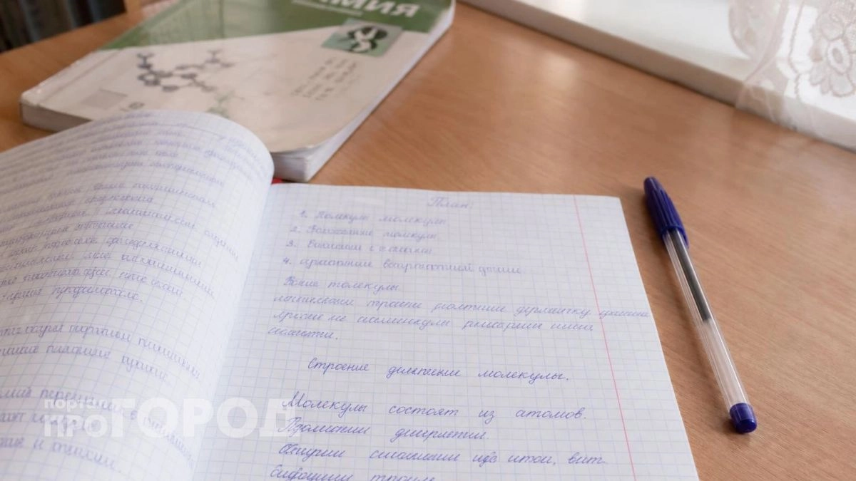 Платные кружки станут обязательными: без абонемента даже не пустят на школьные мероприятия