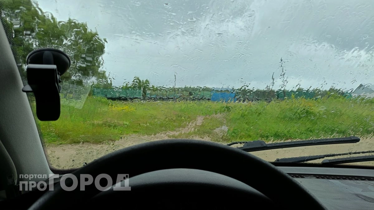 В Новочебоксарске 18 июня ожидаются грозы и локальные ливни