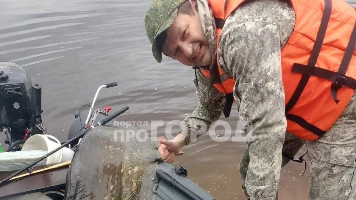 Новочебоксарец выловил в Волге огромного сома: весит почти центнер