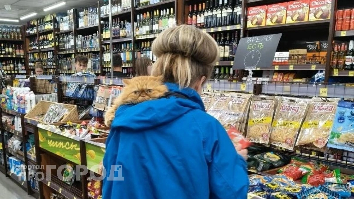 В Новочебоксарске в День Республики ограничат продажу алкоголя в розницу