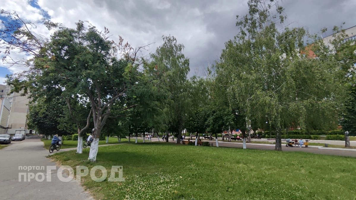 В Новочебоксарске 26 июня северный ветер принесет кратковременные дожди и прохладу