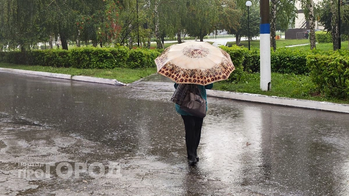 В Новочебоксарске неделя начнется с дождей и сильного ветра