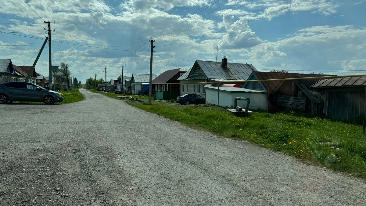 Переехали жить в деревню и только через год осознали: вот почему в деревнях больше не живут сельским хозяйством 
