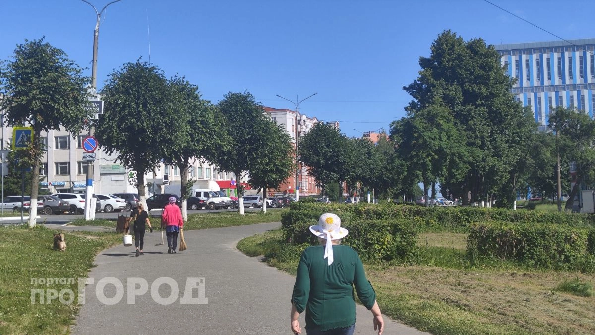 В Новочебоксарск к концу недели вернется почти 30-градусная жара