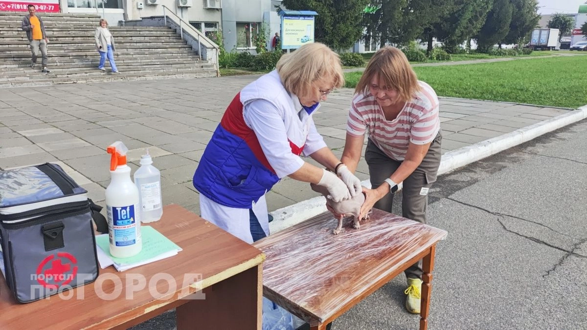 В Новочебоксарск возвращаются пункты здоровья 