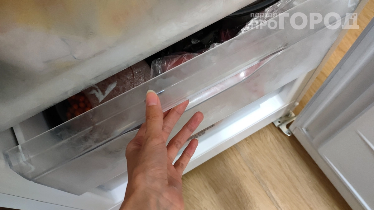 Закинула огурцы в морозилку — а зря: рассказываю, какие продукты там только портятся
