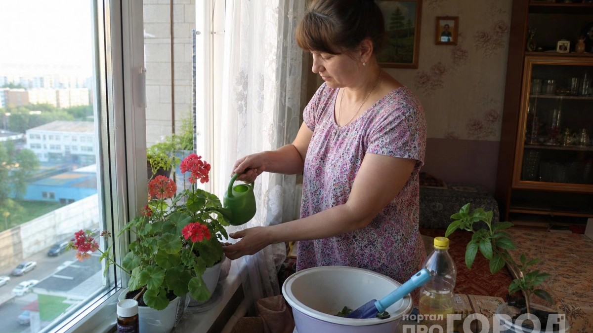 Подоконник как склад хлама — признак дурного вкуса: дизайнеры используют 3 простых решения, чтобы превратить его в декор