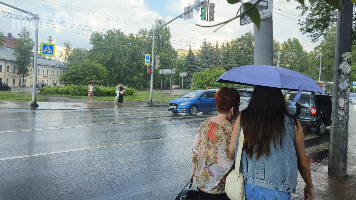 Жара, ливень, холод — и всё за неделю: как июль и август удивят россиян в 2026 году