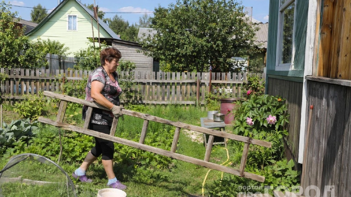Развалюху-лестницу применила с умом: пара вечеров работы и дача выглядит как уютное кафе