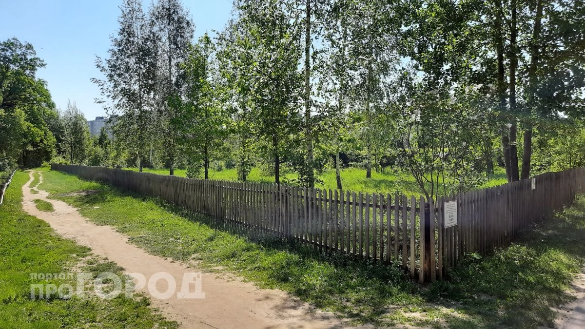 В Новочебоксарске определили адреса, по которым пройдет ремонт тротуаров