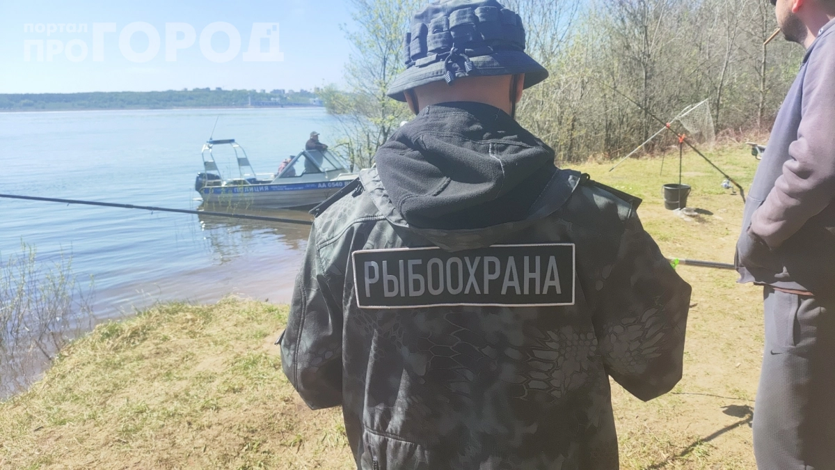 Раньше ловили вёдрами, теперь — штраф и конфискация: что случилось с этой рыбой