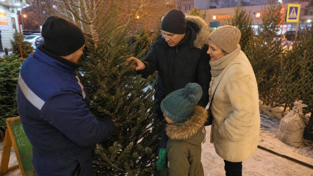 Сохранится до февраля: секретные добавки в воду для свежей новогодней елки