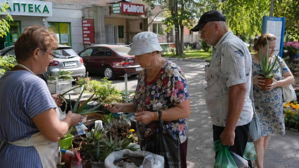 Живучий алоэ: 3 секрета успешного выращивания