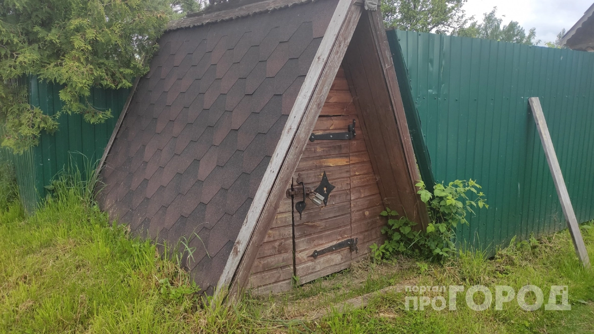 В погребе больше не воняет сыростью: пожилой сосед поделился умным трюком с ведром — о проблеме навсегда забыла