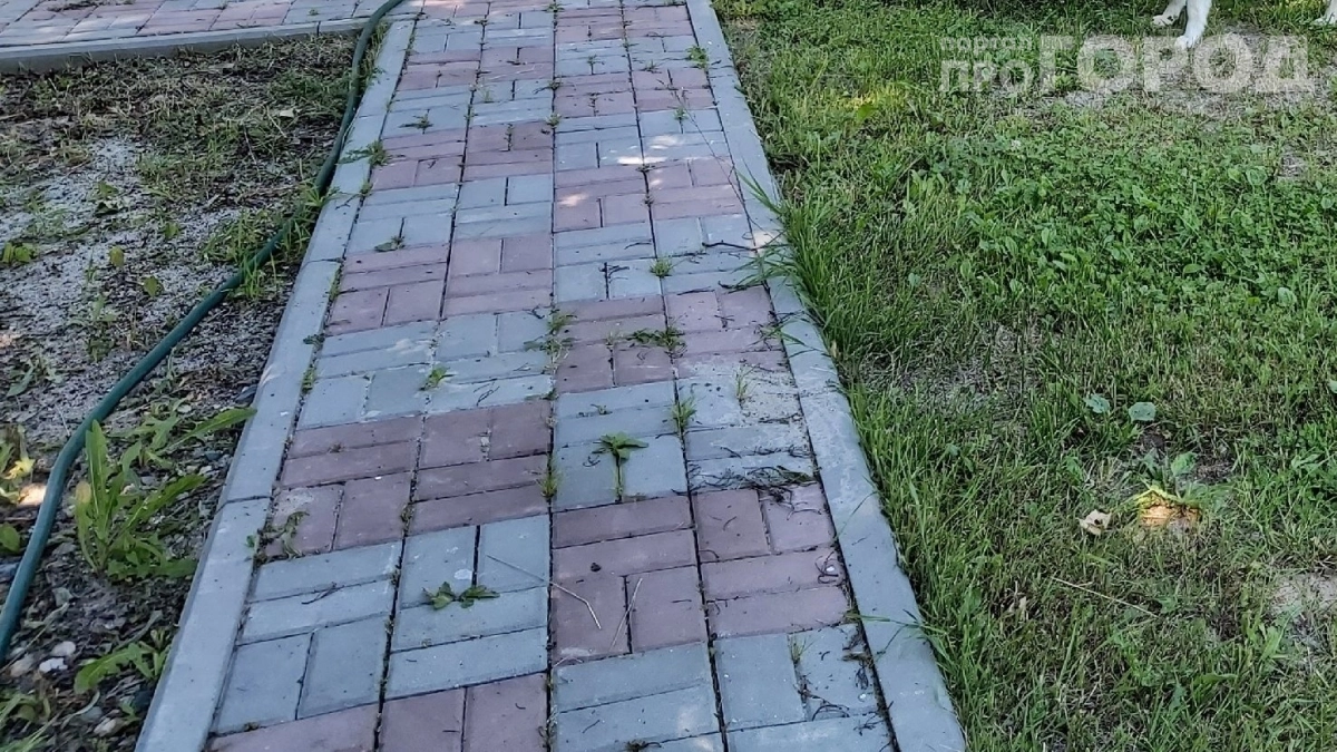 Дорожки как в Европе без единой травинки: засыпаю и забываю о сорняках на 20 лет