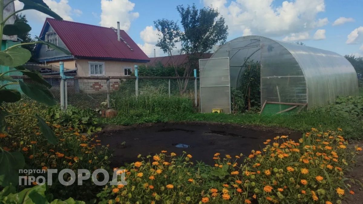 Новочебоксарских дачников заставляют сносить заборы и незаконные постройки