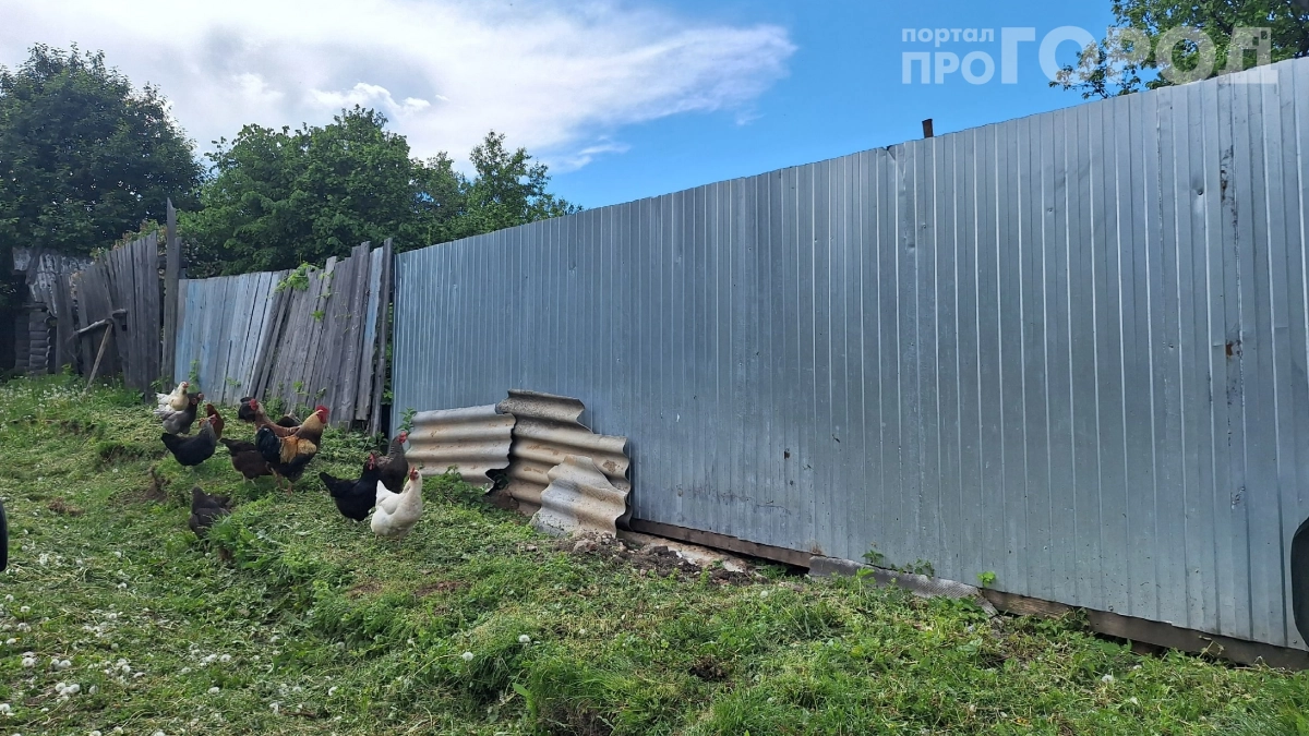 Закрыл щель под забором — и теперь на участок не пролезет даже кот: делюсь 5 рабочими способами