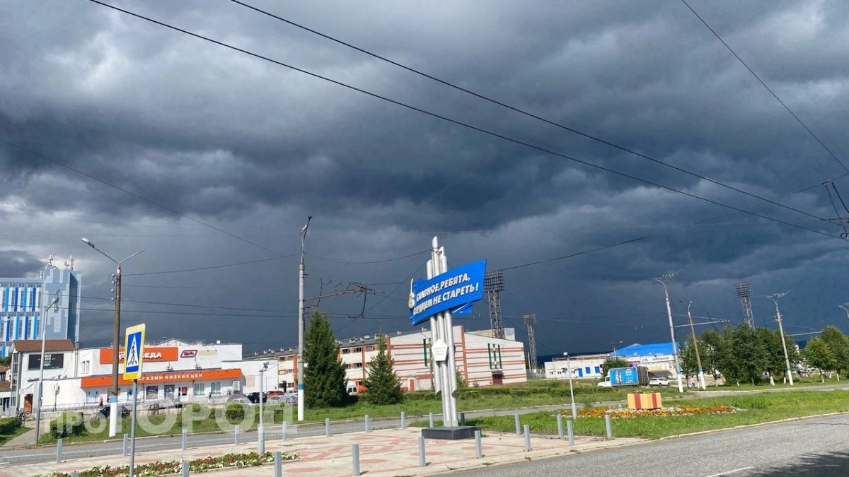 Жителей Чувашии предупреждают о грозе и сильном ветре до 17 метров в секунду