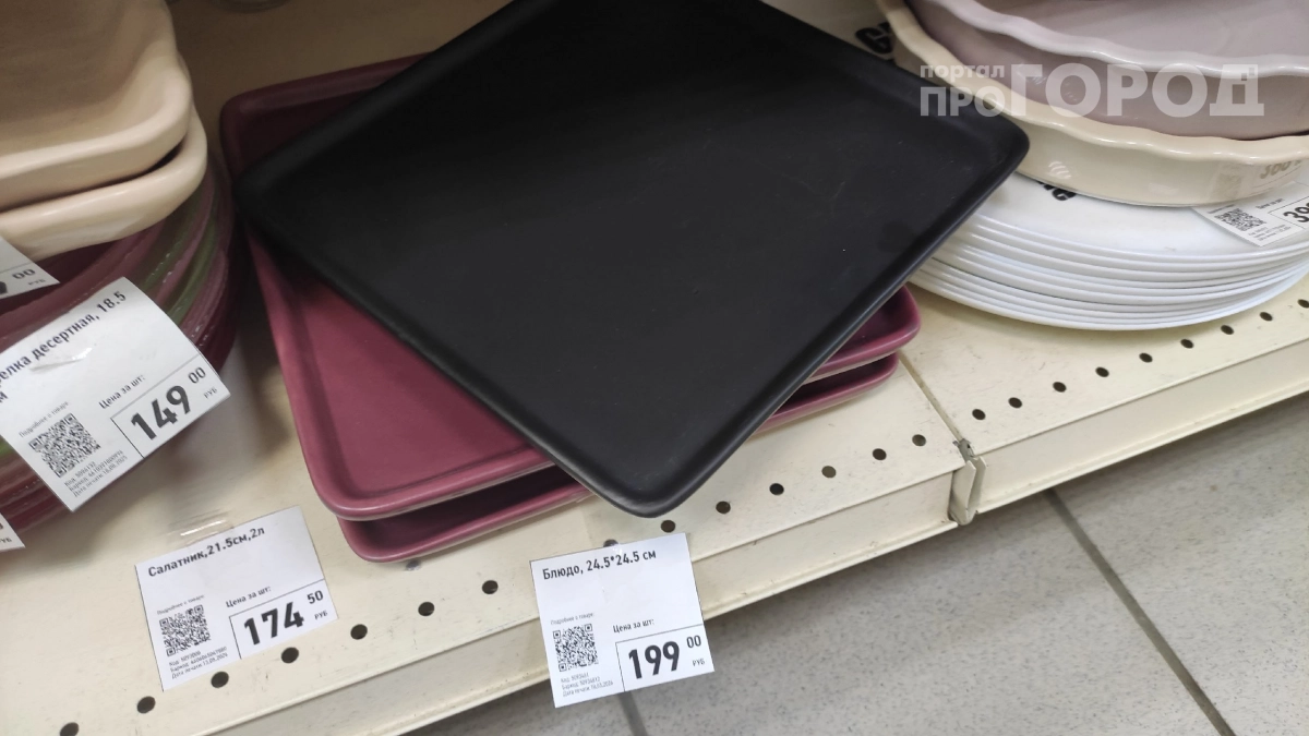 Купил блюдо в Fix Price для кухни, а теперь оно спасает мой огород: рассказываю про неожиданные дачные лайфхаки