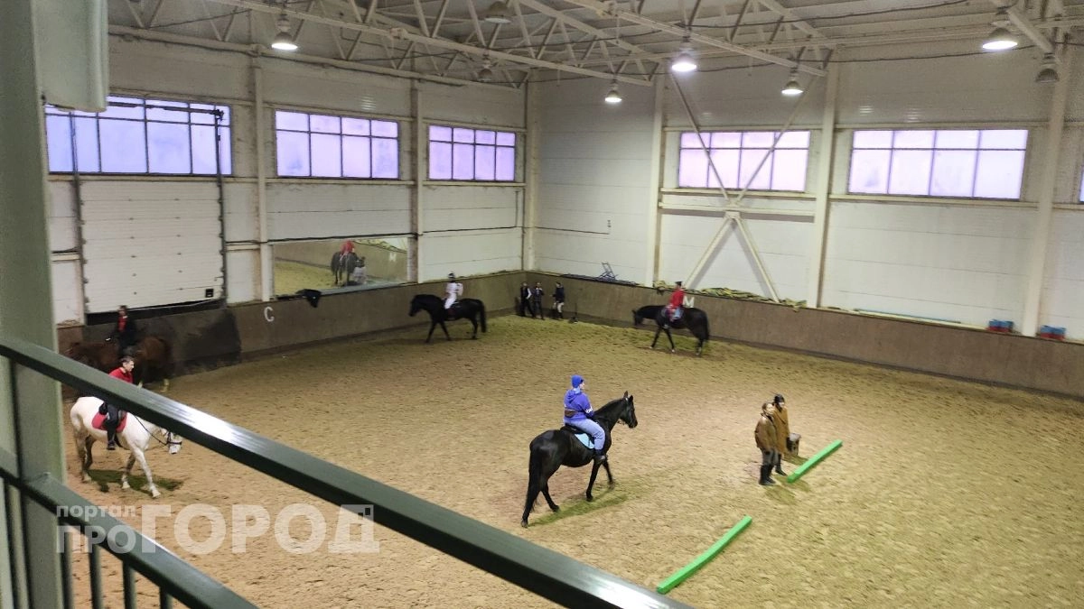 В Новочебоксарске собираются построить кормовой ангар для конноспортивной школы
