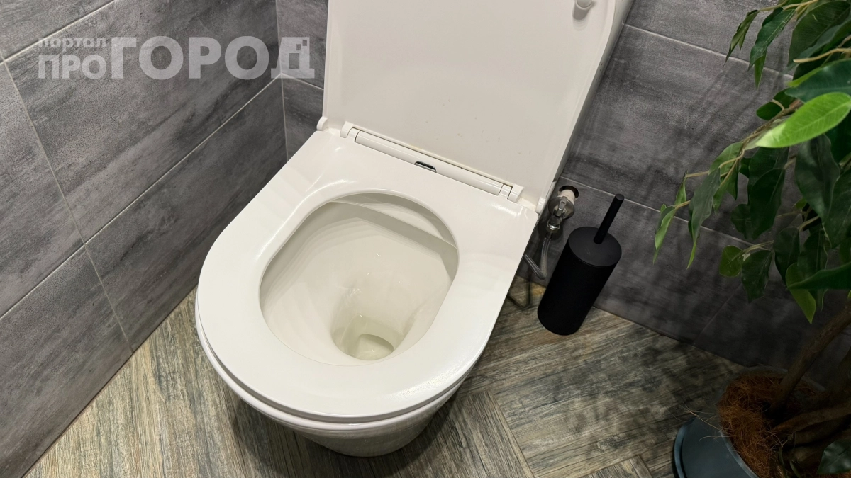 Залил 1 стакан в унитаз — и забыл про налёт на месяцы: делюсь рабочим лайфхаком