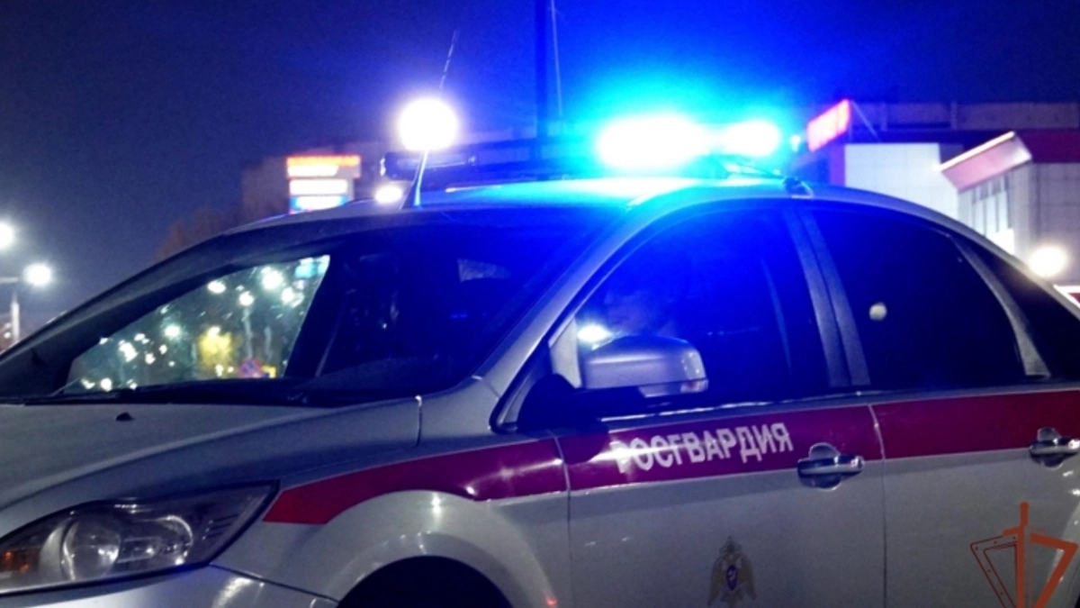 В Новочебоксарске задержали преступника, который избил местного жителя