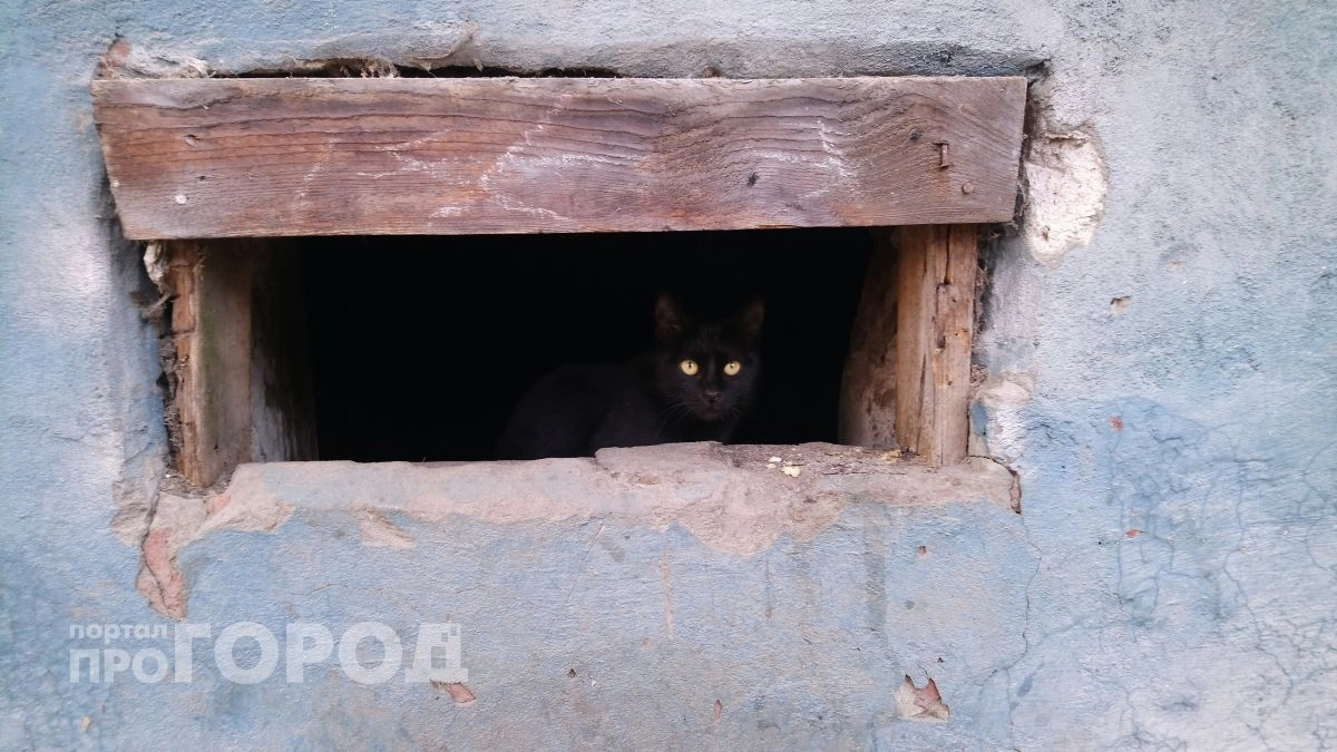 На обустройство новочебоксарских подвалов выделили еще несколько миллионов рублей