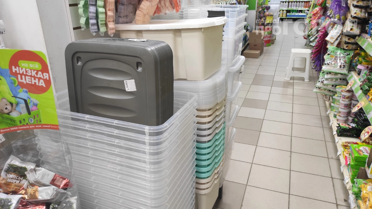 Храню урожай в погребе теперь только так: купила контейнеры в Fix Price — гниль и насекомые не страшны 