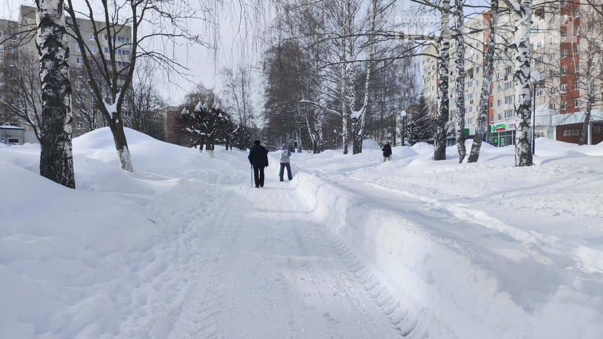 Тёплый декабрь, ледяной январь: синоптики обещают качели температур — готовьтесь к сюрпризам