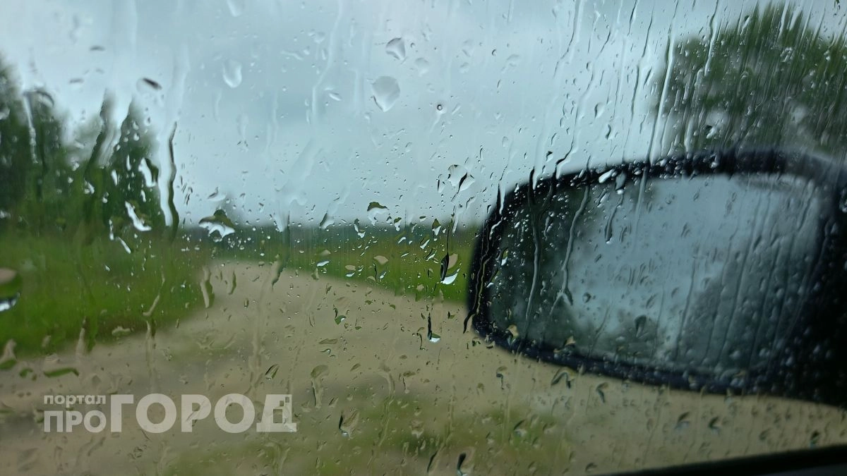 Зонт и ветровка пригодятся: каким будет день в Новочебоксарске
