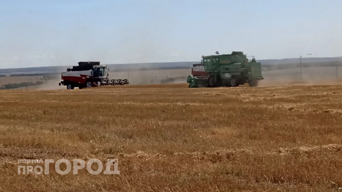 Чебоксарский район производит 42,4 процента сельхозпродукции Чувашии