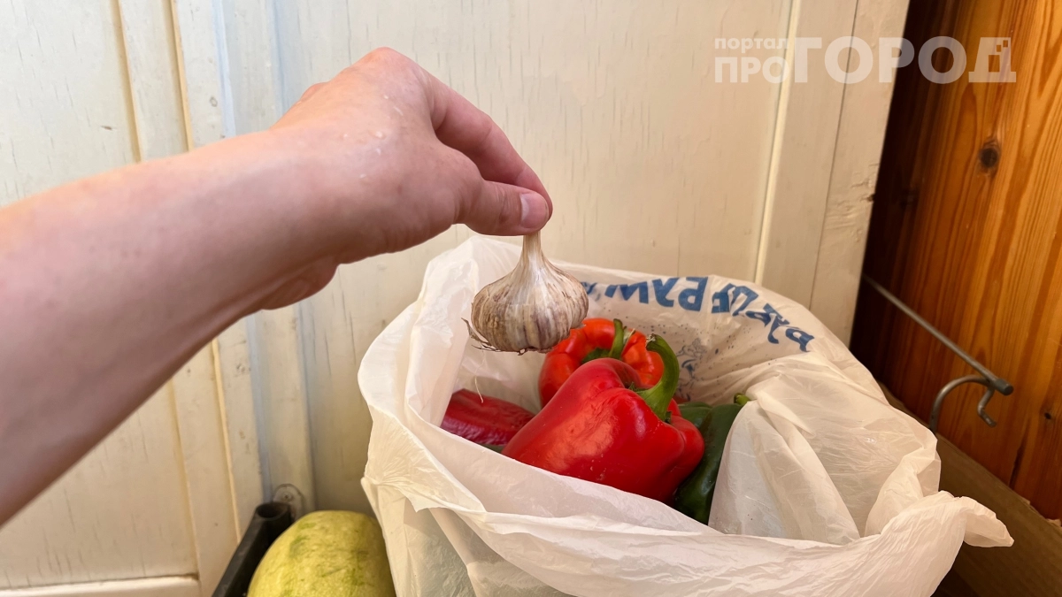 Почему чеснок в магазине прорастает через два дня, а «бабушкин» лежит до весны: дело в правильном хранении