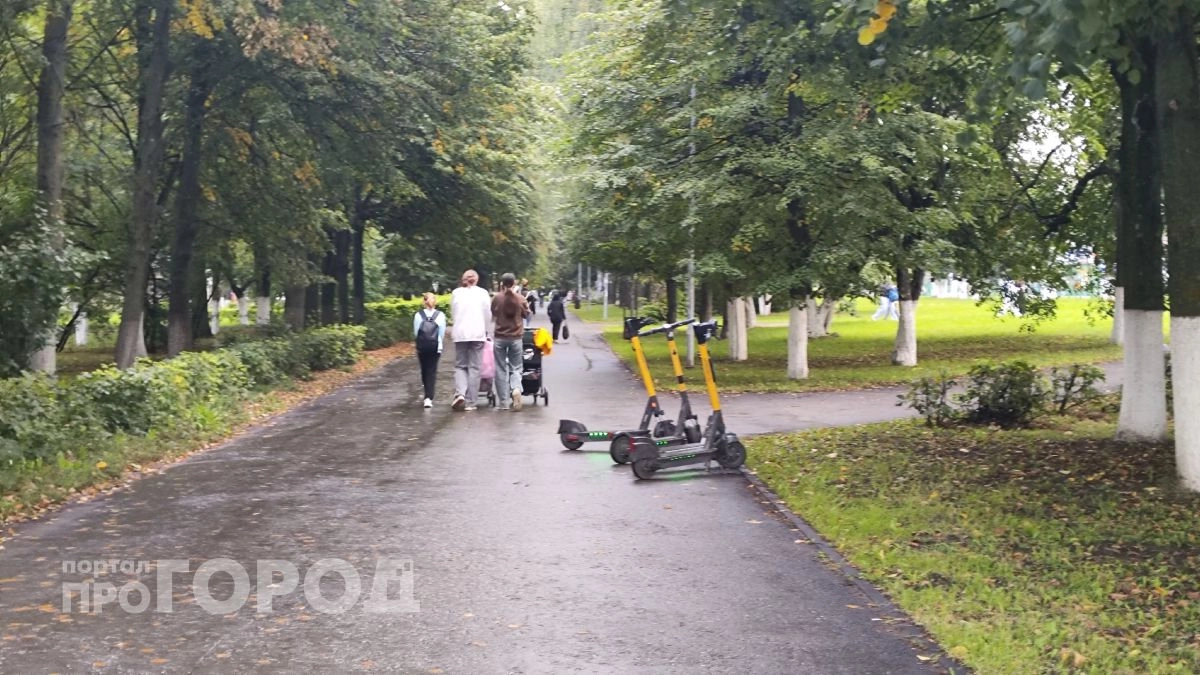 Потеплеет, но дождь не прекратится: о погоде в Новочебоксарске 18 августа