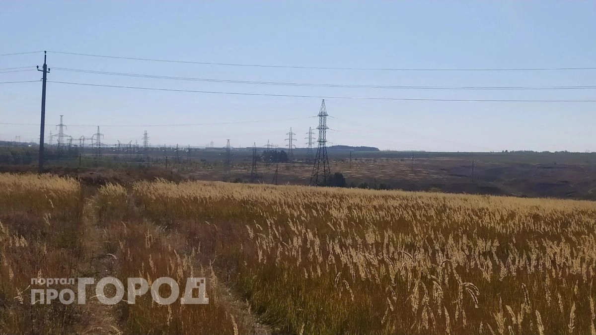 В Новочебоксарске и Чувашии аннулировали девять деклараций на 16,8 тысячи тонн зерна