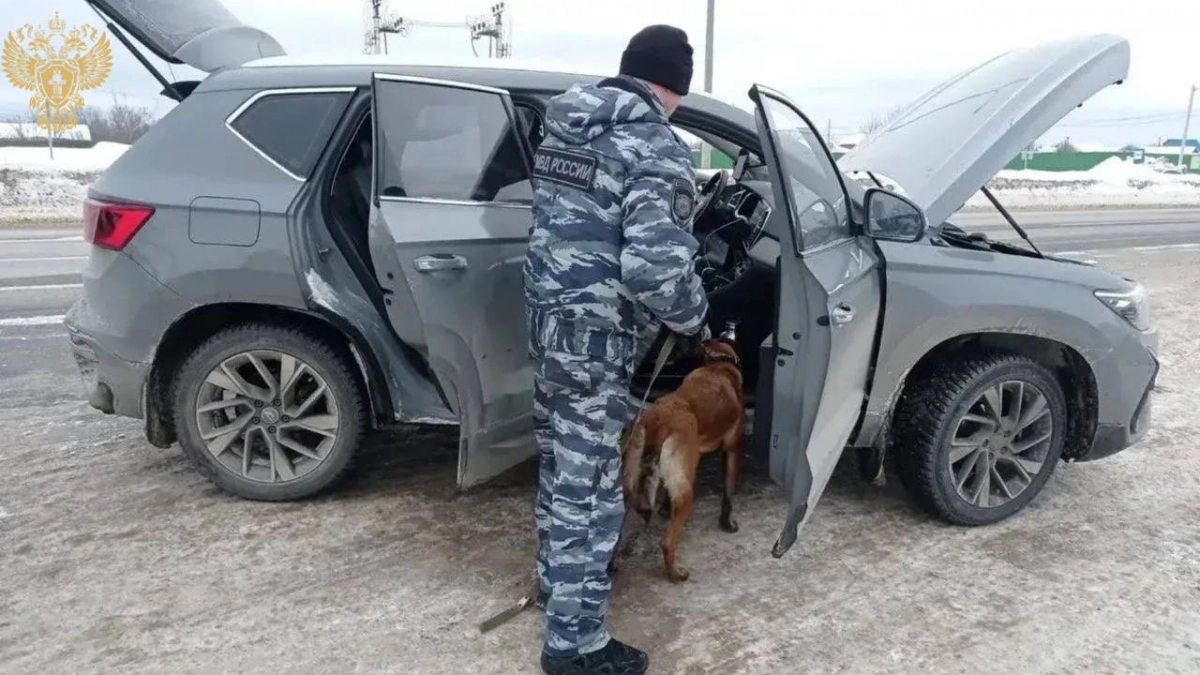 В Новочебоксарске женщине дали семь лет за попытку сбыта 8 кг наркотиков