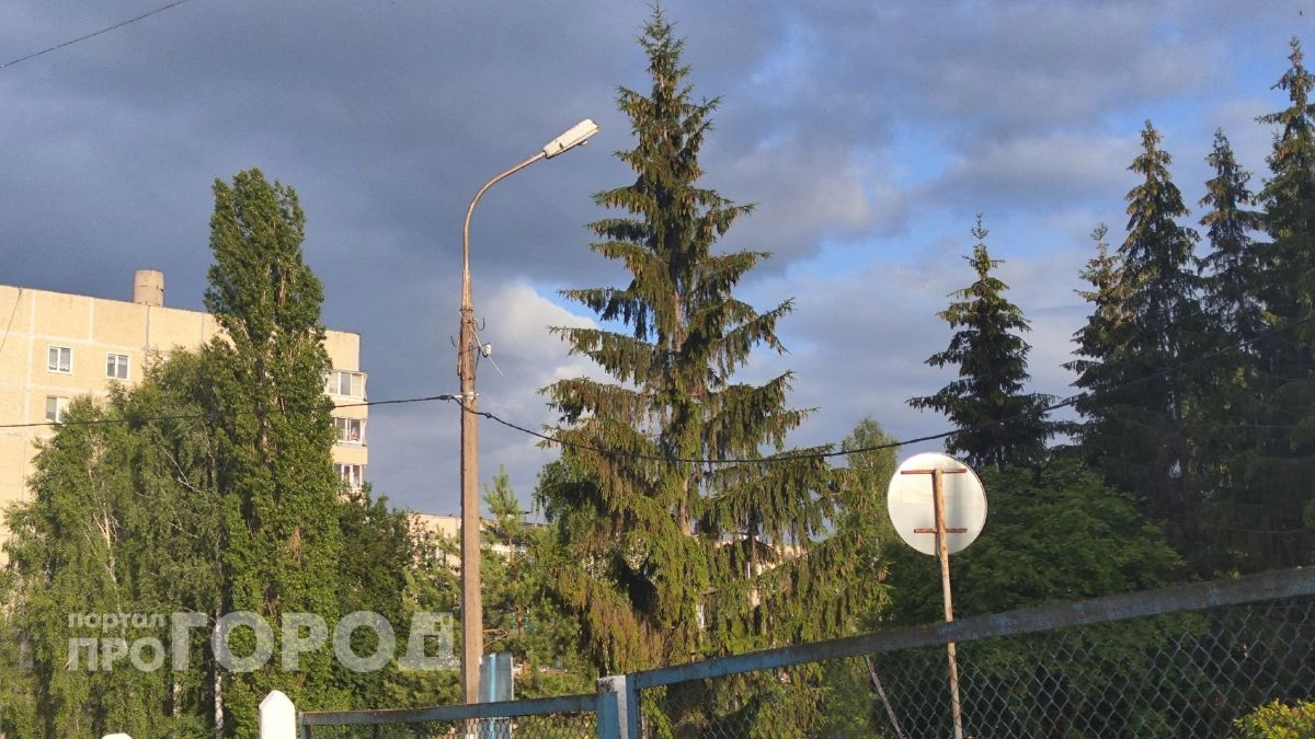 Новочебоксарские УК призвали пилить сухие и аварийные деревья в черте города