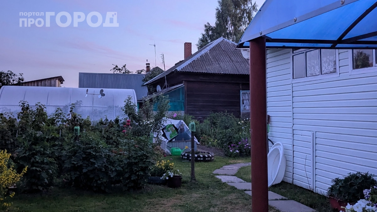 Дачи больше не в моде: россияне массово объединяют участки и уходят из СНТ — разбираемся почему