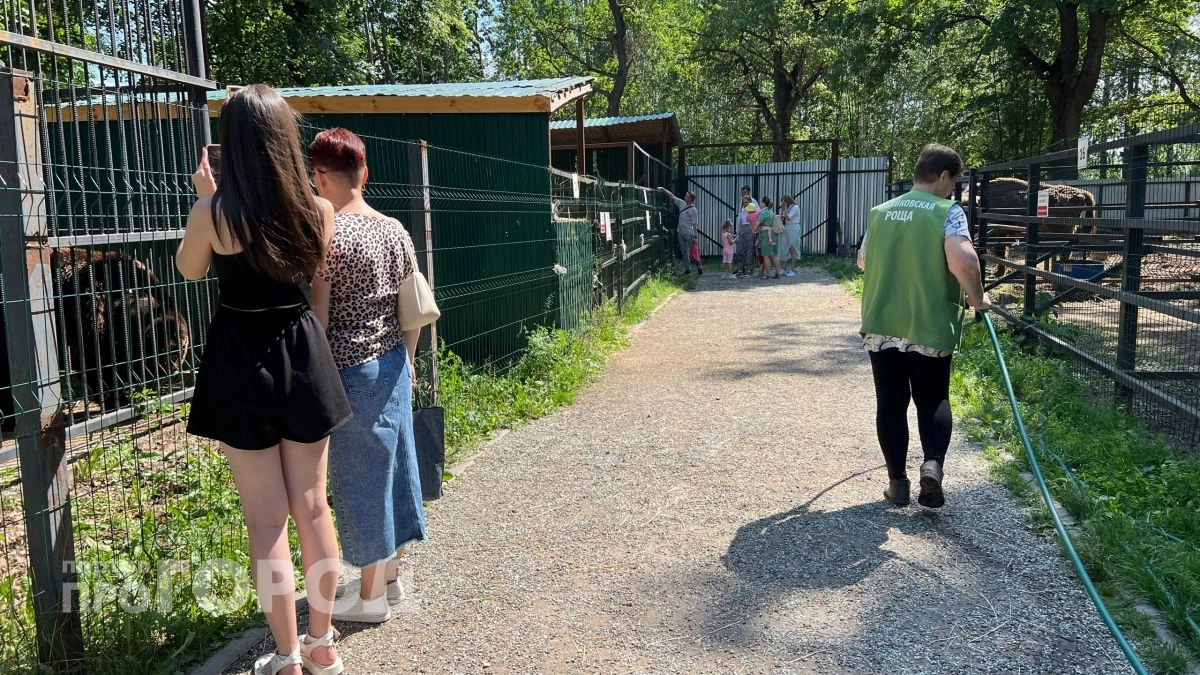 Жителей Новочебоксарска пригласили на бесплатный праздник в честь наступающего Дня города