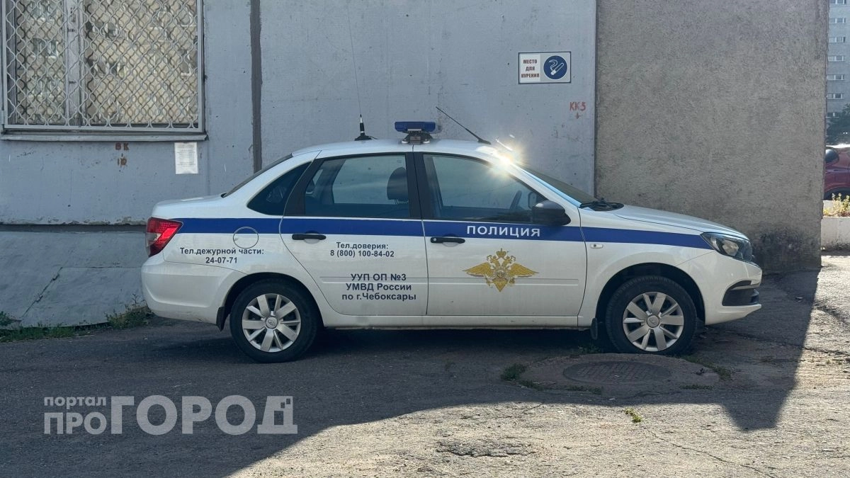 В Новочебоксарске трех мужчин арестовали за сопротивление полицейским