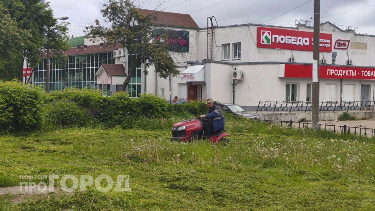 На исходе лета в Новочебоксарске вновь заговорили о некошеной траве