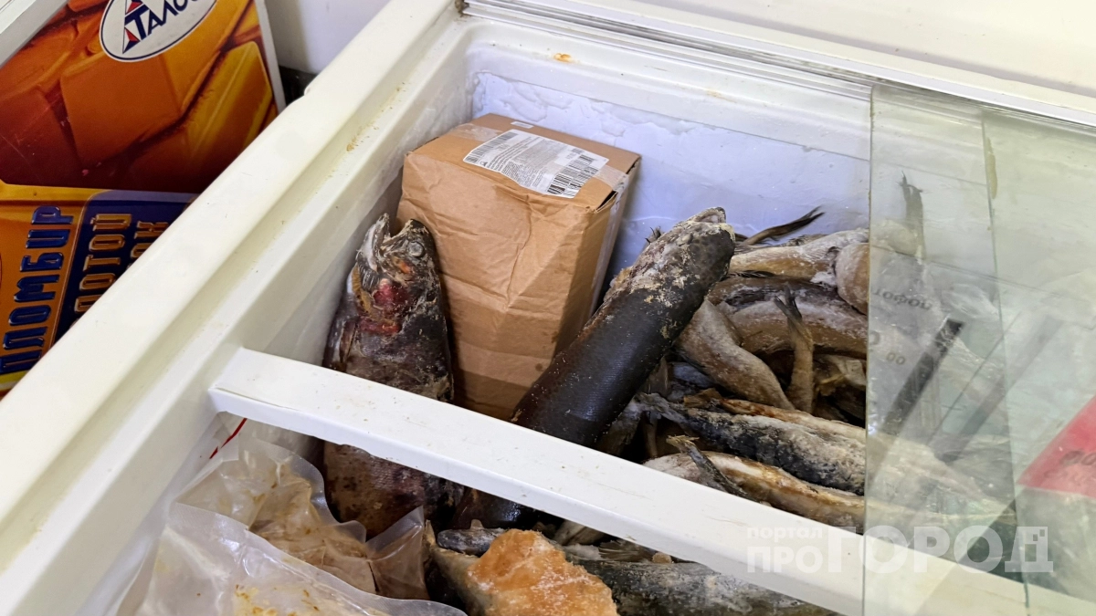 Купила в "Светофоре" рыбу за копейки: нашла 3 отличия от дорогих аналогов с рыбных рынков