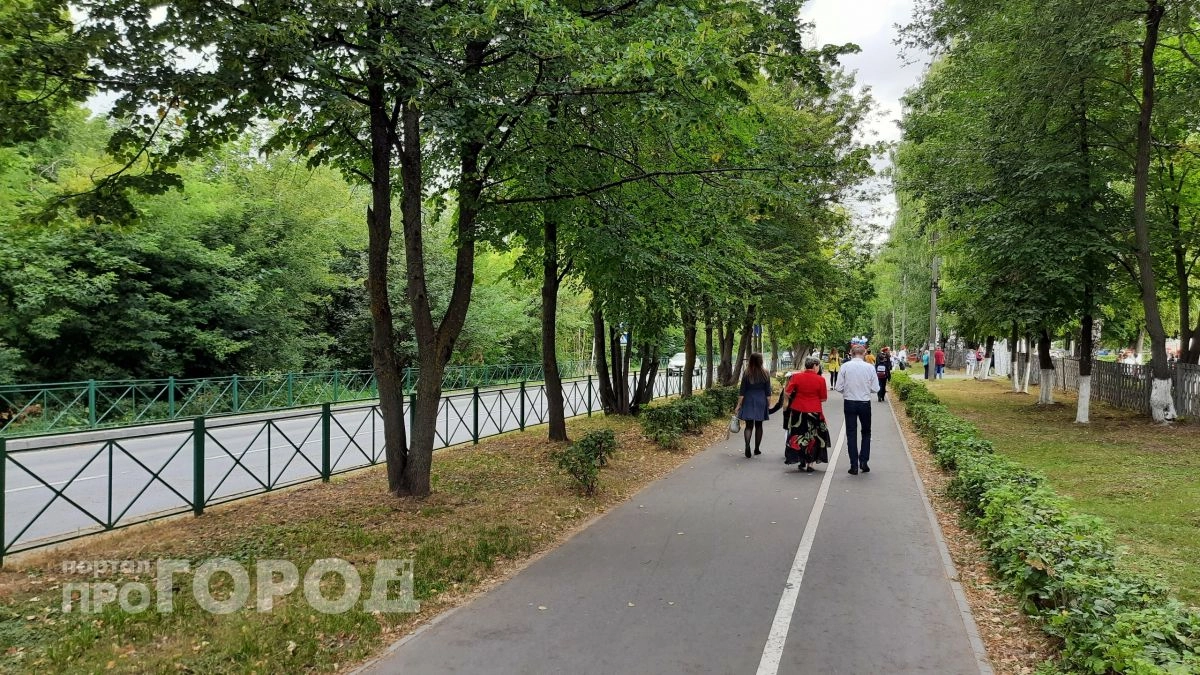 Дождя ждать не стоит: прогноз погоды в Новочебоксарске на 3 сентября